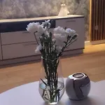 Grunwaldzka 65 Apartmán *